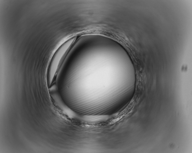 X0000098050100200804111322