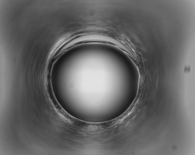 X0000098050101200804111322