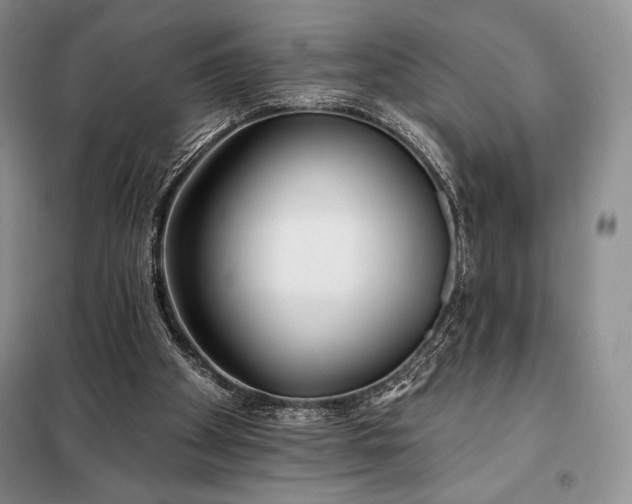 X0000098050105200804111322