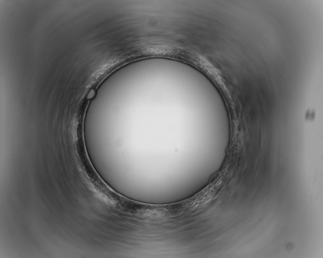 X0000098050106200804111322