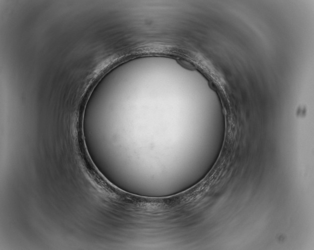 X0000098050107200804111322