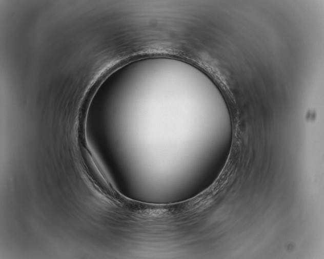 X0000098050108200804111322