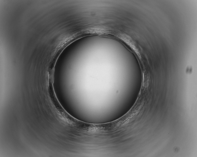 X0000098050109200804111322