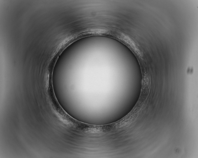 X0000098050110200804111322