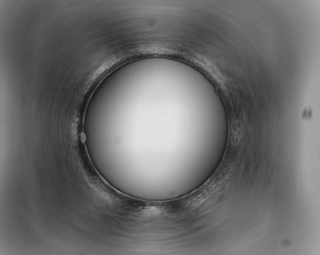 X0000098050111200804111322