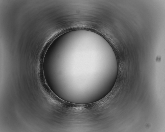 X0000098050112200804111322