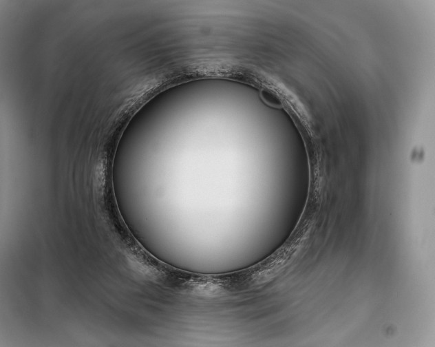 X0000098050113200804111322