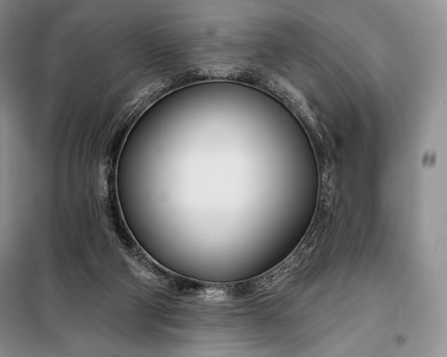 X0000098050114200804111322