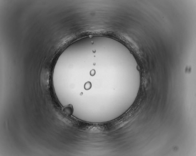 X0000098050115200804111322