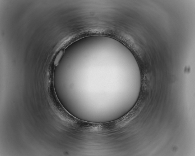 X0000098050116200804111322