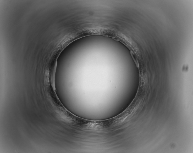 X0000098050117200804111322