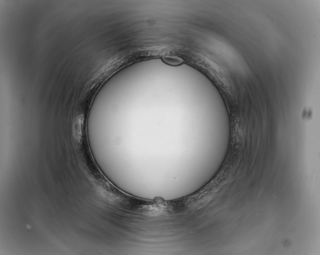 X0000098050118200804111322