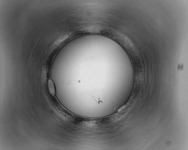 X0000098050120200804111322