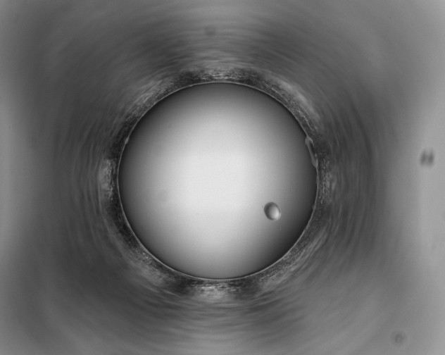 X0000098050121200804111322