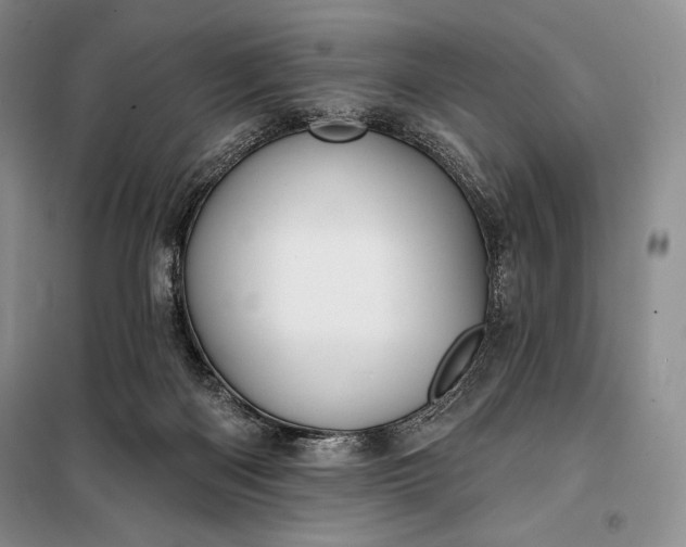 X0000098050122200804111322