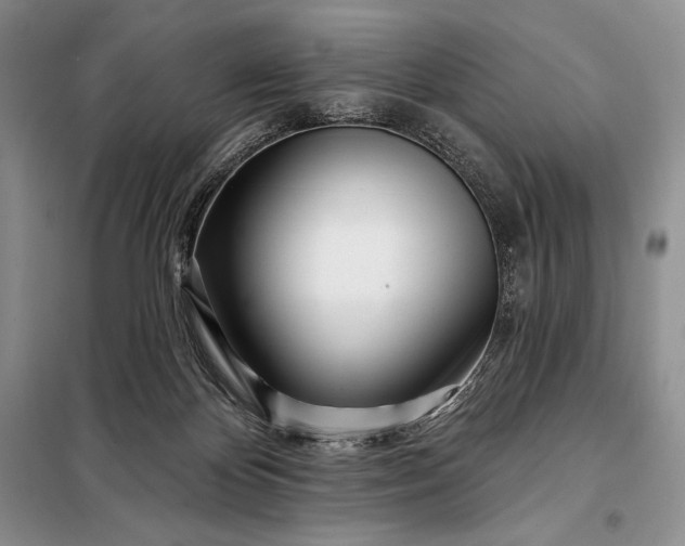 X0000098050124200804111322