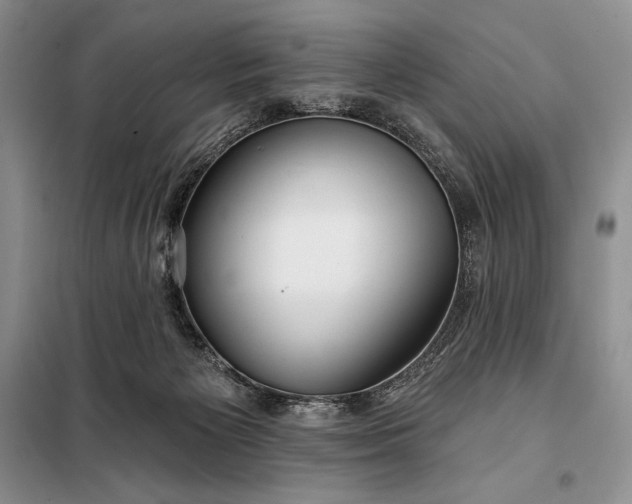 X0000098050125200804111322