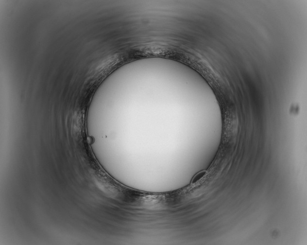 X0000098050126200804111322