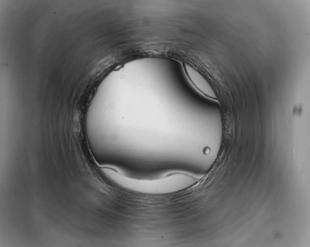 X0000098050128200804111322