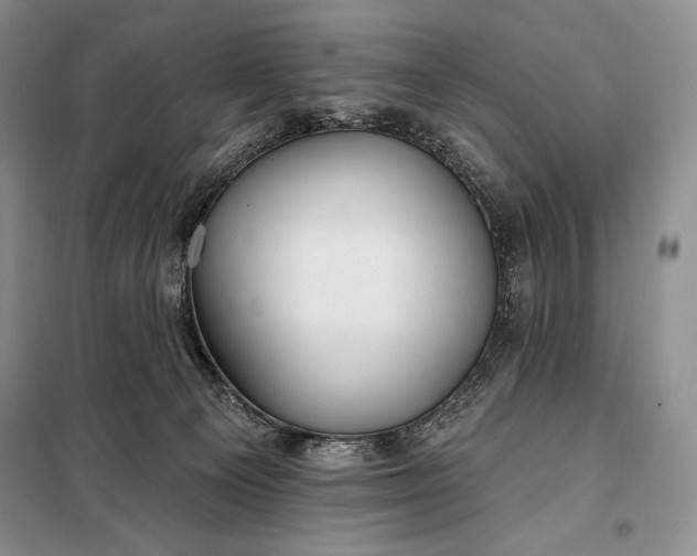 X0000098050129200804111322