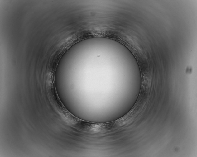 X0000098050130200804111322