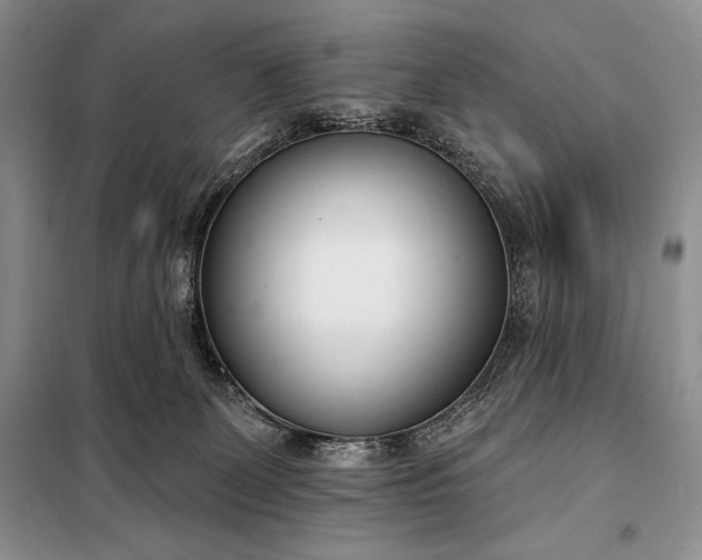 X0000098050131200804111322