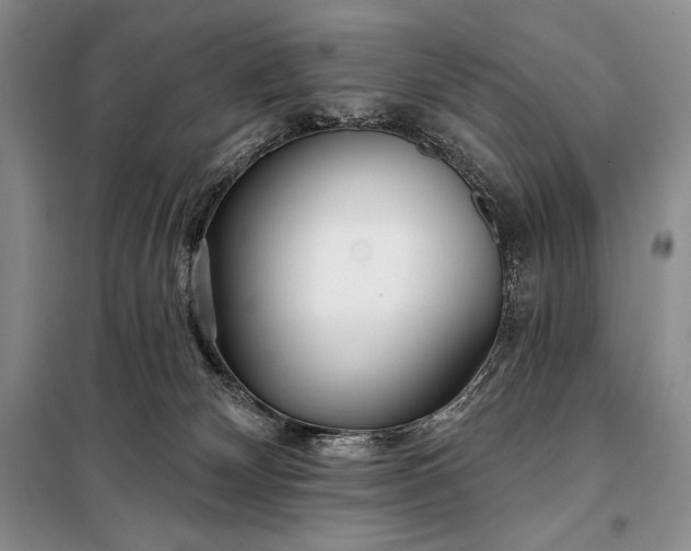 X0000098050132200804111322