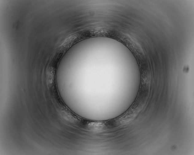 X0000098050133200804111322