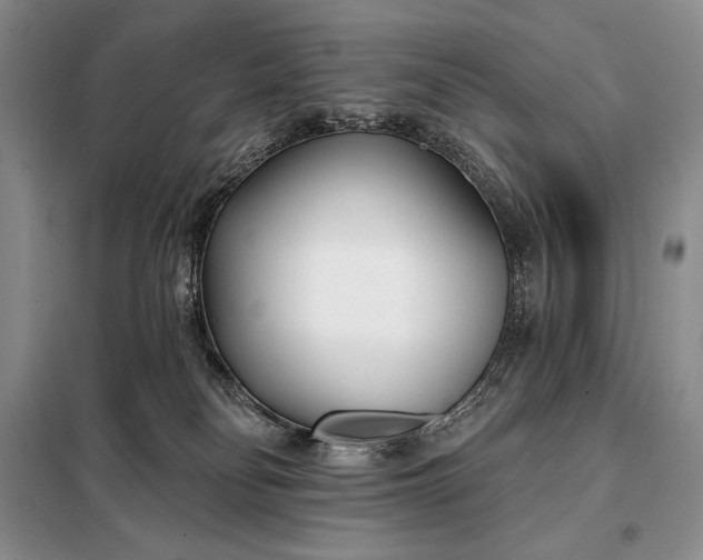 X0000098050134200804111322