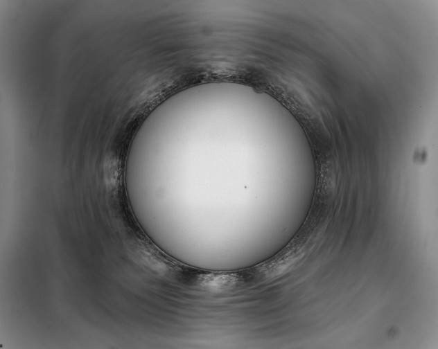 X0000098050135200804111322