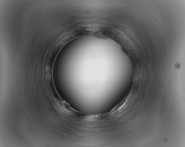 X0000098050136200804111322