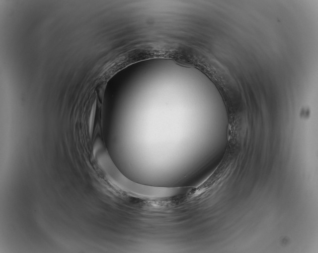 X0000098050137200804111322