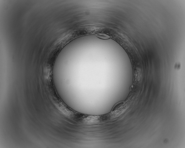 X0000098050138200804111322