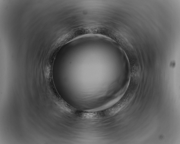 X0000098050139200804111322