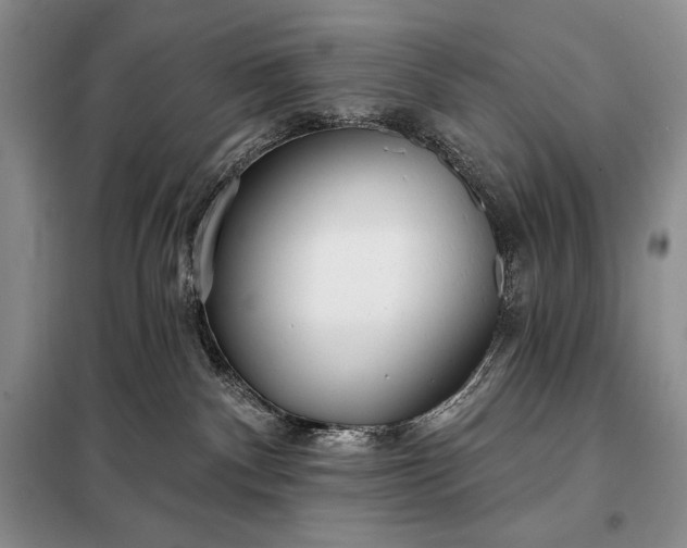 X0000098050140200804111322