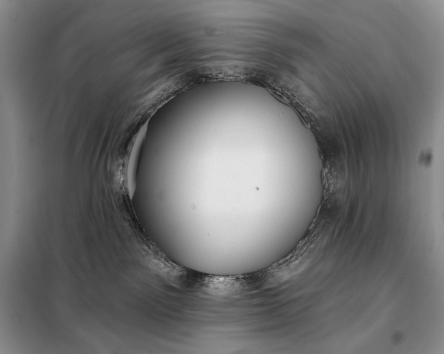 X0000098050141200804111322