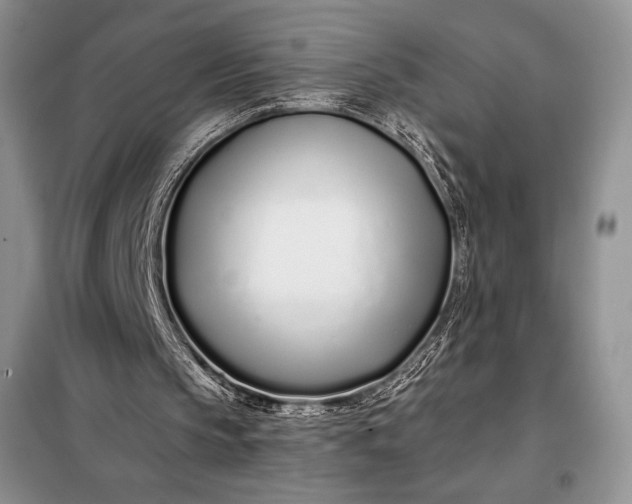 X0000098050145200804111321