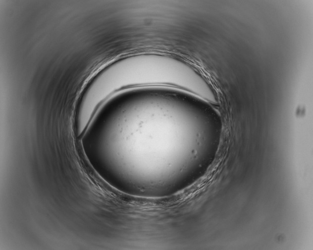 X0000098050146200804111321