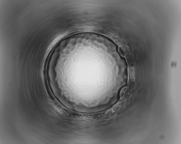 X0000098050147200804111321