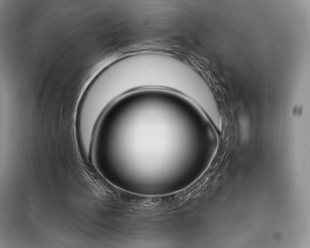 X0000098050148200804111321