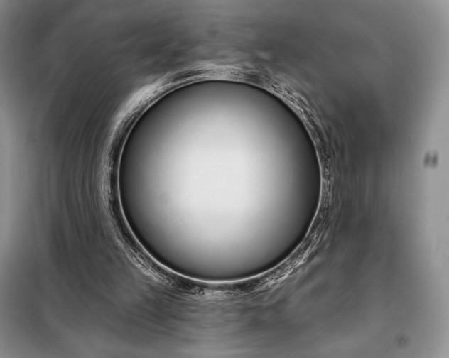 X0000098050149200804111321