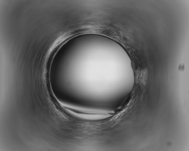 X0000098050150200804111321