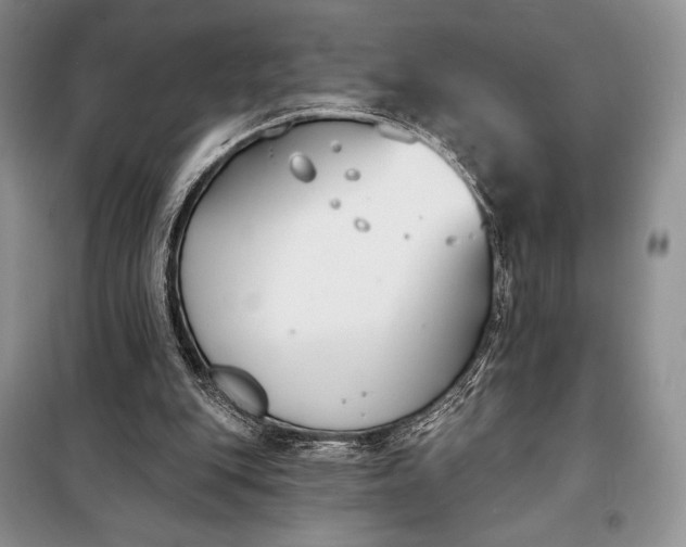 X0000098050151200804111321