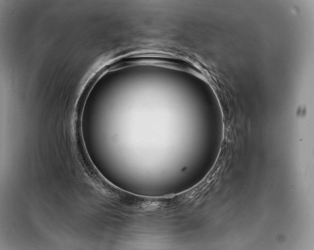 X0000098050152200804111321