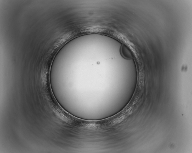 X0000098050153200804111321