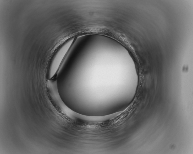 X0000098050154200804111321