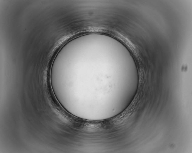 X0000098050155200804111321