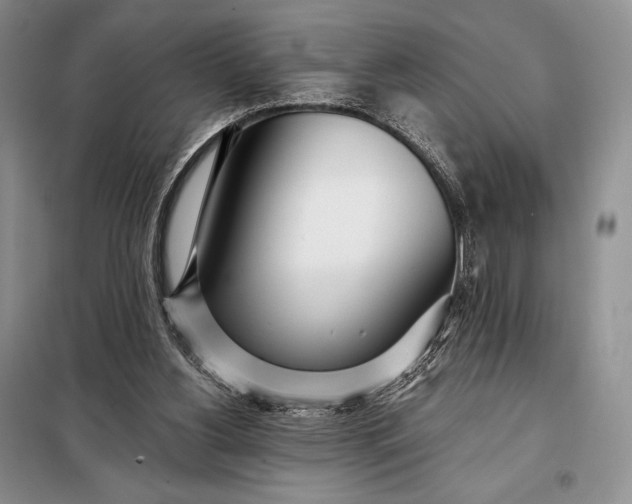 X0000098050156200804111321