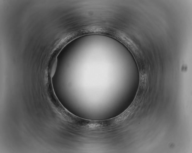 X0000098050158200804111321