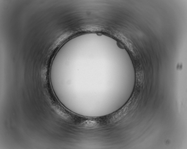 X0000098050159200804111321